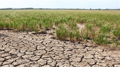 الاتحاد المصري للتأمين يدعو للشراكة مع أجهزة الدولة لمواجهة مشكلة الجفاف