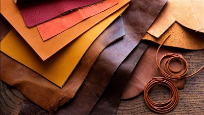 ارتفاع صادرات الجلود والأحذية والمنتجات الجلدية بنسبة 16.6 % خلال 2022