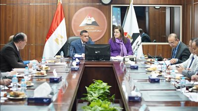 وزيرة التخطيط تترأس إجتماع لجنة تسيير برنامج التنمية المحلية بالصعيد 