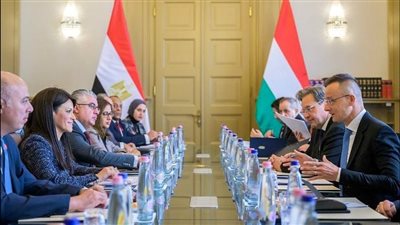 «اقتصادية قناة السويس» تستهدف توطين 21 قطاعًا صناعيًا لتلبية احتياجات الأسواق الخارجية 