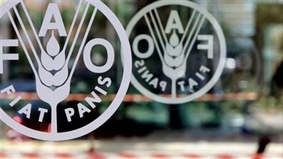 «فاو»: استقرار أسعار الغذاء العالمية خلال سبتمبر الماضي