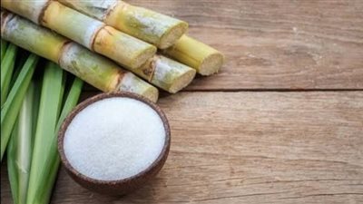 التموين: توريد 1.8 مليون طن قصب سكر منذ بداية الموسم