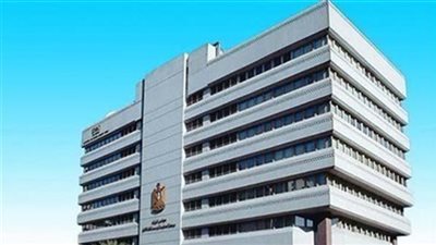 «معلومات الوزراء»: 75.6% من المصريين يدركون مشكلة الزيادة السكانية