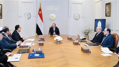 الرئيس السيسي يتابع ملف تطوير الصناعة المصرية ومواجهة تحدياته