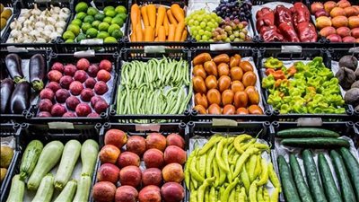 صادرات مصر من الخضروات والفاكهة إلى ألمانيا تقترب من مليار يورو