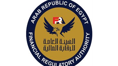 «الرقابة المالية» تشكل لجنة تنسيقية لتطوير عمل المجمعة المصرية لتأمين السفر للخارج 