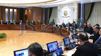 الحكومة توافق على إعفاء مزارع الدواجن من الضريبة العقارية لمدة 3 سنوات