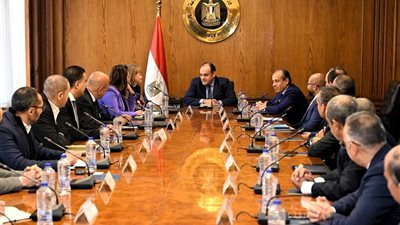 وزير التجارة يبحث مع شركات دنماركية سبل تنمية مشروعاتها في مصر