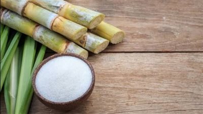 التموين: توريد 3.2 مليون طن قصب منذ نهاية ديسمبر الماضي