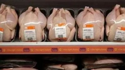 الحكومة تكشف حقيقة استيراد شحنات دواجن مجمدة فاسدة ومنتهية الصلاحية 