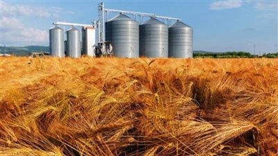 «التموين» تعلن جاهزية الصوامع لتخزين القمح خلال 2023 بطاقة 5.5 مليون طن