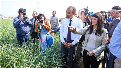 «المشاط» تؤكد أهمية دعم أصحاب الحيازات الزراعية الصغيرة في تعزيز الأمن الغذائي 