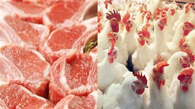 «الزراعة»: جهود الدولة بقطاعي الدواجن واللحوم تنعكس إيجابيًا على الأسواق
