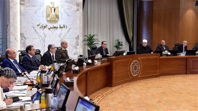 الحكومة تحدد سعر ضمان لشراء 3 محاصيل استراتيجية من المزارعين