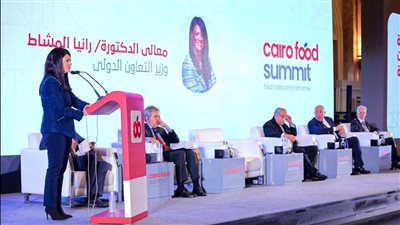 وزيرة التعاون الدولي: القطاع الخاص شريك رئيسي في برامج التنمية بمختلف المجالات