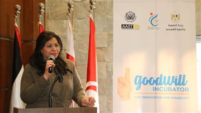 «رواد 2030» والأكاديمية العربية للعلوم ينظمان ورشة تدريبية لذوي الهمم بأسوان