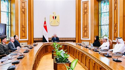 السيسي يبحث التعاون مع موانئ أبوظبي لتطوير المناطق اللوجستية