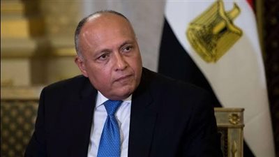 وزير الخارجية يؤكد أهمية الابتعاد عن تسييس المناقشات داخل اليونسكو