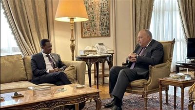 وزير الخارجية يبحث مع نظيره الكيني تعزيز التعاون المشترك