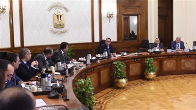 مدبولي يبحث سبل تيسير إجراءات تراخيص مصانع الأدوية والمستلزمات الطبية