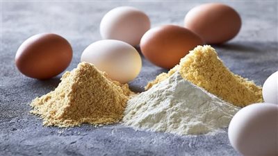 الحكومة تكشف حقيقة طرح البيض البودرة فى الأسواق