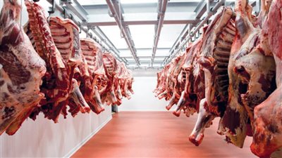 الحكومة تنفي استيراد لحوم مصابة بجنون الأبقار وطرحها بالأسواق