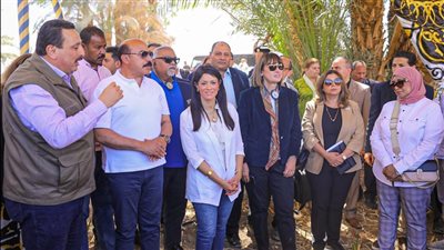 المشاط: مُستمرون في الشراكات البناءة مع برنامج الأغذية العالمي ضمن استراتيجية 2023-2027