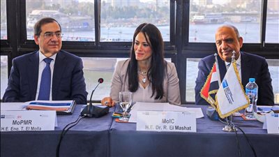 المشاط: اللجنة التوجيهية تعزز التعاون بين مصر وألمانيا في مجال الطاقة النظيفة