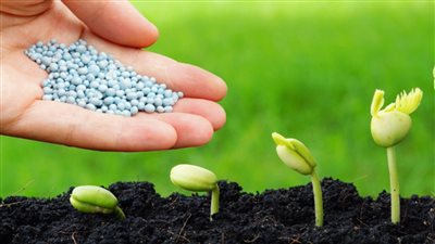 صادرات الأسمدة المصرية تقفز 50.2% لتسجل 3.3 مليار دولار فى 2022