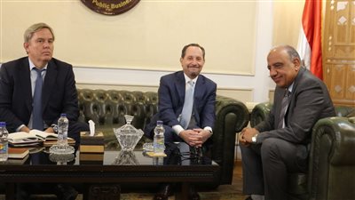 وزير قطاع الأعمال يبحث تعزيز التعاون مع الولايات المتحدة الأمريكية