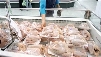 «التموين» تتعاقد على شراء 25 ألف طن دواجن برازيلي مجمدة