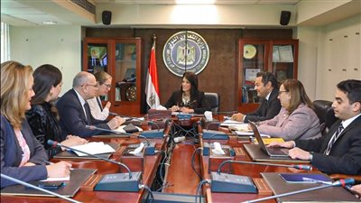 «المشاط» تُتابع مع بعثة البنك الدولي تنفيذ مشروع تحفيز ريادة الأعمال 