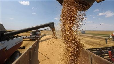 «التموين» تعلن عودة العمل فى مراكز تجميع الأقماح المحلية