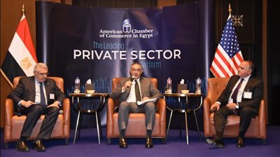 رئيس هيئة الاستثمار: إطلاق استراتيجية إنتاج الهيدروجين الأخضر الشهر المقبل