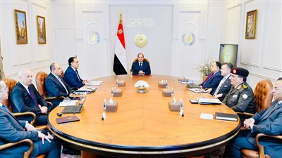 الرئيس السيسي يوجه بتعزيز التكامل بين قطاعي السياحة والطيران
