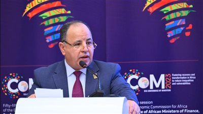 المالية: نستهدف تحويل أعباء الديون بالبلدان النامية إلى حلول مستدامة للتعافي الأخضر