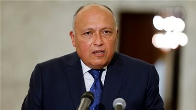 وزير الخارجية يعقد لقاءً ثنائيًا مغلقًا مع نظيره السوري