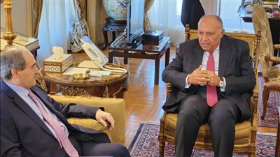 مباحثات مصرية - سورية موسعة على مستوى وزيري الخارجية