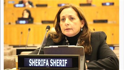 المدير التنفيذي لـ«القومي للحوكمة» تشارك في الدورة الـ22 للجنة «CEPA» بالأمم المتحدة