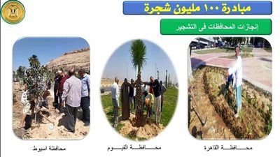 التنمية المحلية: توريد 4.5 مليون شجرة للمحافظات بتكلفة 128.4 مليون جنيه