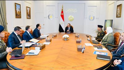 السيسي يوجه بصياغة مسار تنموي متطور ومتكامل الأركان في سيناء