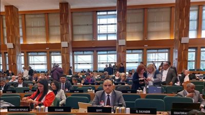 انتخاب مصر لمنصب نائب رئيس هيئة تدابير الصحة النباتية بالأمم المتحدة 