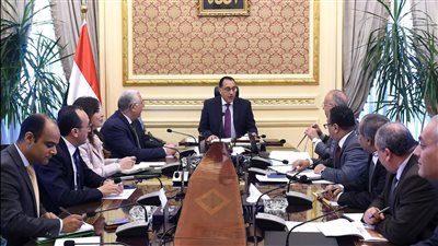 رئيس الوزراء: الدولة مهتمة بالتوسع في مشروعات التنمية الزراعية لتعزيز الأمن الغذائي