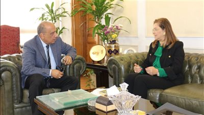 وزيرا قطاع الأعمال والتخطيط يبحثان زيادة التعاون المشترك لدعم مناخ الاستثمار