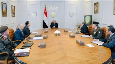 السيسي يوجه بتكثيف العمل في مشروعات الزراعة والري وإنتاج الغذاء