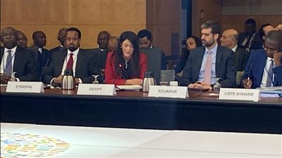 مصر تحث بنوك التنمية على تيسير التمويل للدول النامية عبر الأدوات المبتكرة