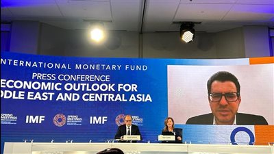 صندوق النقد: لم يتم الاتفاق على موعد المراجعة الأولى لبرنامج مصر