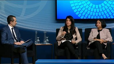 المشاط: التوسع في أدوات خفض المخاطر ضرورة لضمان زيادة استثمارات القطاع الخاص