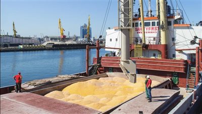 بلغاريا تفرض حظرًا مؤقتًا على واردات الحبوب الأوكرانية