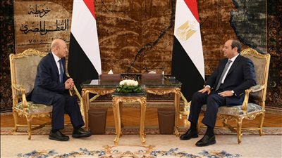 السيسي يستقبل رئيس مجلس القيادة الرئاسي اليمني